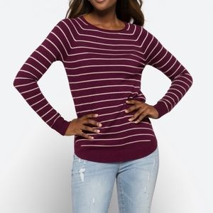 NWT Pink Clover Sweater